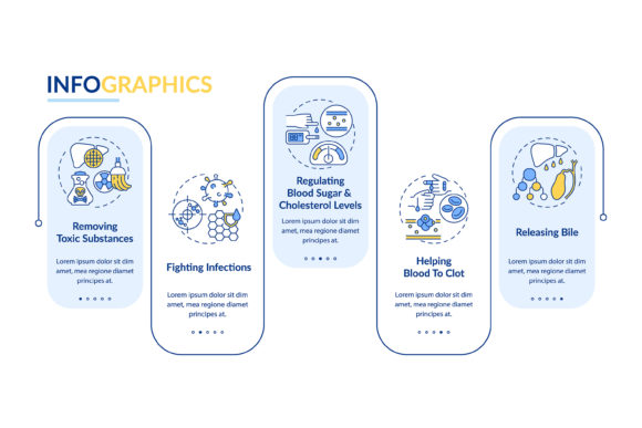 Liver Roles Vector Infographic Template